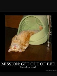 Screenshot_2015-01-31-13-36-30_1