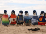 Penguins in Sweaters