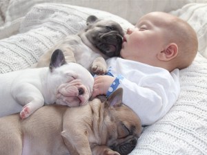 dogsandbabies6