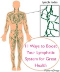 11 Ways to Boost Your Lymphatic System for Great HealthPositiveMed | Stay Healthy. Live&nbsp;Happy