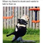 Daily Inspirational Sip