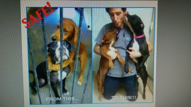 wp-1437571701665 image